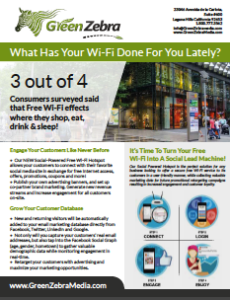 Social Wifi Promotional Flyer